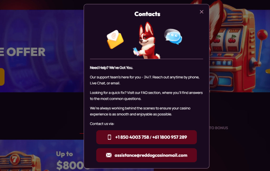 red dog casino support